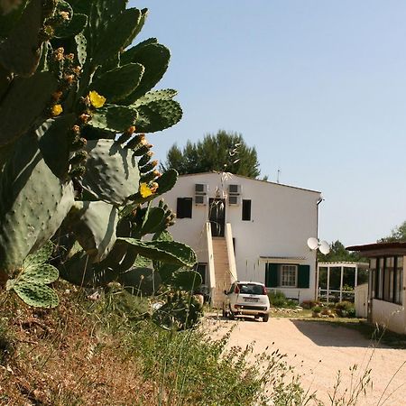 Agriturismo Affittacamere Atlhos Vieste Exteriér fotografie