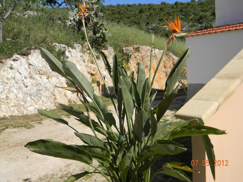 Agriturismo Affittacamere Atlhos Vieste Exteriér fotografie