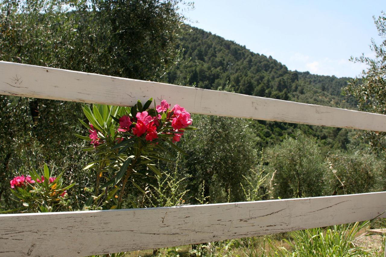 Agriturismo Affittacamere Atlhos Vieste Exteriér fotografie